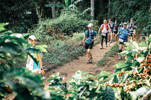 BIB: 
                            <button type="button" onclick="openModal(25852128)" class="btn btn-primary btn-sm float-right btn-popup" data-toggle="modal" data-target=".modal-high-quality">
                        <i class="fas fa-shopping-cart"></i> Add to Cart
                    </button>
                                            <button type="button" onclick="isThisMe(25852128, true)" class="btn btn-success btn-sm float-right btn-popup btn-isme hidden" data-toggle="tooltip" data-placement="bottom" title="นี่คือรูปของคุณใช่ไหม คลิกที่นี่เพื่อเอาเข้าอัลบั้ม">
                        <i class="fas fa-plus"></i> Add to album
                    </button>
                    <button type="button" onclick="isThisMe(25852128, false)" class="btn btn-warning btn-sm float-right btn-popup btn-isnotme hidden">
                        <i class="fas fa-ban"></i> Remove from album
                    </button>